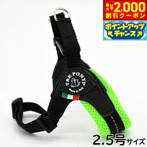 yő2000~OFFN[|IX|Cgő62{I{Izg|eB TREPONTI tBbrA AWX^u^Cv \tgbV n[lX 2.5 O[