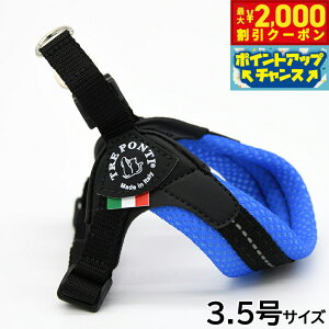 yő2000~OFFN[|IX|Cgő62{IX[p[SALEIzg|eB TREPONTI tBbrA AWX^u^Cv \tgbV n[lX 3.5 u[