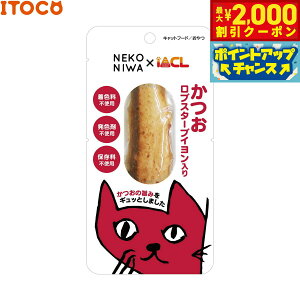 yő2000~OFFN[|IX|Cgő62{I{IzNEKONIWA { uX^[uC Lp 1{