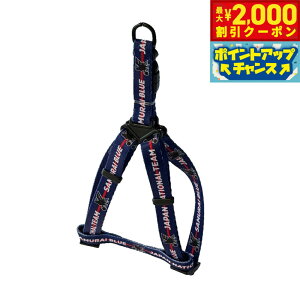 yő2000~OFFN[|IX|Cgő62{I{Izt@^W[[h TbJ[{\ TCu[ n[lX TbJ[{\ItBVCZXObY