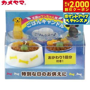 yő2000~OFFN[|IX|Cgő62{I{IzJ}[\N ybĝ͂Lh ipj ybgp A 낤