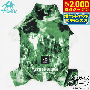 yő2000~OFFN[|IX|Cgő62{I{IzWEH[N GEWALK }[u vg veNg Xgb` p[X 2L O[  hbOEFA ybgEFA