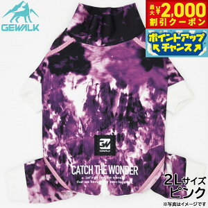 yő2000~OFFN[|IX|Cgő62{I{IzWEH[N GEWALK }[u vg veNg Xgb` p[X 2L sN  hbOEFA ybgEFA