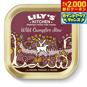 yő2000~OFFN[|IX|Cgő62{I{Iz[YLb` hbOt[h EFbgt[h 쐶̃Lvt@C[V`[ 150g Y 