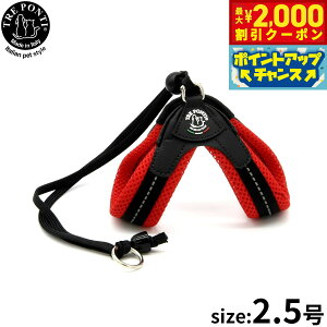 yő2000~OFFN[|IX|Cgő62{I{Izg|eB TRE PONTI x^\tgbV n[lX 2.5 bh