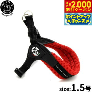 yő2000~OFFN[|IX|Cgő62{IX[p[SALEIzg|eB TRE PONTI tBbrA AWX^u^Cv \tgbV n[lX 1.5 bh