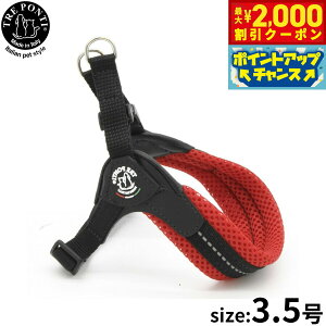 yő2000~OFFN[|IX|Cgő62{I{Izg|eB TRE PONTI tBbrA AWX^u^Cv \tgbV n[lX 3.5 bh