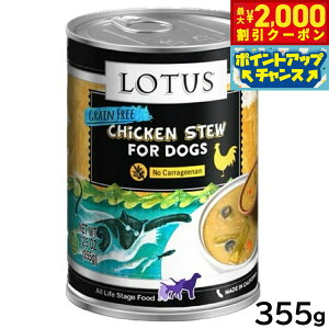 yő2000~OFFN[|IX|Cgő62{I{Iz[^X hbOt[h OCt[ EFbgt[h `LAXpKX V`[ 355g Y ʋl