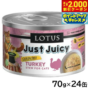 yő2000~OFFN[|IX|Cgő62{I{Iz[^X Lbgt[h OCt[ EFbgt[h ^[L[ V`[ 70g×24ʃZbgyz Y 