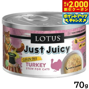 yő2000~OFFN[|IX|Cgő62{I{Iz[^X Lbgt[h OCt[ EFbgt[h ^[L[ V`[ 70g Y ʋl