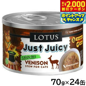 yő2000~OFFN[|IX|Cgő62{IX[p[SALEIz[^X Lbgt[h OCt[ EFbgt[h xj\ V`[ 70g×24ʃZbgyz Y 