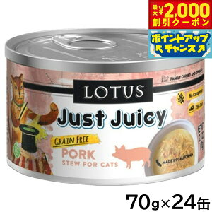 yő2000~OFFN[|IX|Cgő62{I{Iz[^X Lbgt[h OCt[ EFbgt[h |[N V`[ 70g×24ʃZbgyz Y ʋl