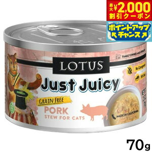 yő2000~OFFN[|IX|Cgő62{I{Iz[^X Lbgt[h OCt[ EFbgt[h |[N V`[ 70g Y ʋl