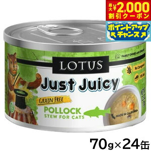 yő2000~OFFN[|IX|Cgő62{IX[p[SALEIz[^X Lbgt[h OCt[ EFbgt[h |bN V`[ 70g×24ʃZbgyz Y 