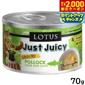 yő2000~OFFN[|IX|Cgő62{I{Iz[^X Lbgt[h OCt[ EFbgt[h |bN V`[ 70g Y ʋl