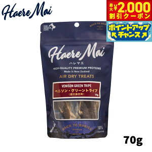 yő2000~OFFN[|IX|Cgő62{I{Izn}G xj\O[gCv 70g p Lp Y