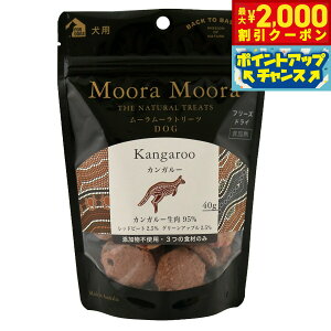 yő2000~OFFN[|IX|Cgő62{I{Iz[[ t[YhCg[c p JK[ 40g   Y ӂ肩 gbsO sgp OCt