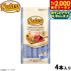 yő2000~OFFN[|IX|Cgő62{I{Izj[g Lp Ƃ낯`Lci `Lt[N 48g