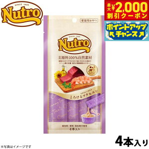 yő2000~OFFN[|IX|Cgő62{I{Izj[g Lp Ƃ낯ciGr cit[N 48g