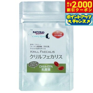 yő2000~OFFN[|IX|Cgő62{I{Izi`n[xXg Tvg NtFJX 35 Y Y K{b_ IK3 _