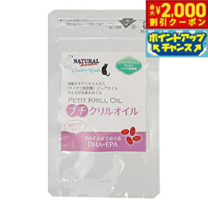 yő2000~OFFN[|IX|Cgő62{I{Izi`n[xXg Tvg v`NIC 30 Y Y K{b_ IK3