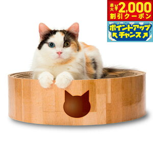 yő2000~OFFN[|IX|Cgő62{I{IzL oo{E L L ܂Ƃ ܂݂ _{[ 蔫