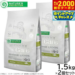 yő2000~OFFN[|IX|Cgő62{I{IzlC`[YveNV hbOt[h zCghbO WjA 1.5kg×2Zbgyz zCgR[g q Y