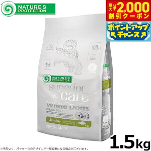 yő2000~OFFN[|IX|Cgő62{I{IzlC`[YveNV hbOt[h zCghbO WjA 1.5kg ю zCgR[g q Y OCt