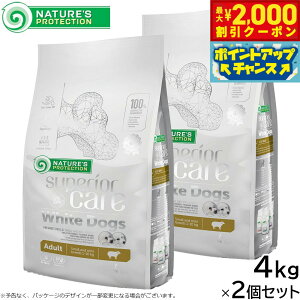 yő2000~OFFN[|IX|Cgő62{I{IzlC`[YveNV hbOt[h zCghbO 4kg×2Zbgyz zCgR[g  Y [h 