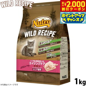 yő2000~OFFN[|IX|Cgő62{I{Izj[g Lbgt[h ChVs GCWOPA `L VjALp 1kg t[ OCt[ Y i`