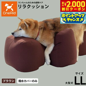 yő2000~OFFN[|IX|Cgő62{IX[p[SALEIzOneAid NbVpJo[ P LLyz p  pi xbh p ^p