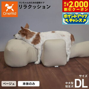 yő2000~OFFN[|IX|Cgő62{IX[p[SALEIzNbV ybg DL x[W OneAid p  pi xbh p ^Zp