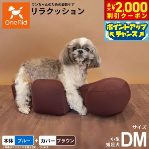 yő2000~OFFN[|IX|Cgő62{IX[p[SALEIzOneAid NbV Jo[Zbg DM u[yz p  pi xbh p ^Zp