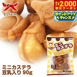 yő2000~OFFN[|IX|Cgő62{I{IzI[V[t@[ p ~jJXe  90g   XibN Y Y