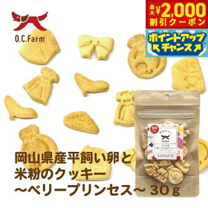 yő2000~OFFN[|IX|Cgő62{IX[p[SALEIzI[V[t@[ p ƕĕ̃NbL[ x[vZX 30g Y Y