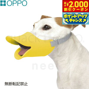 yő2000~OFFN[|IX|Cgő62{IX[p[SALEIzOPPO quackiNAbNj LTCY pi ցi݂ ʖih~j/GUxXJ[