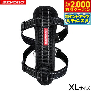 yő2000~OFFN[|IX|Cgő62{I{IzC[W[hbO EZYDOG n[lX XL ubNyz `FXgv[g   ^