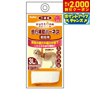 yő2000~OFFN[|IX|Cgő62{I{IzyeBI zuttone Vp s⏕n[lX OpK 3Lyz R L 