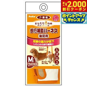 yő2000~OFFN[|IX|Cgő62{IX[p[SALEIzyeBI zuttone Vp s⏕n[lX 㑫pK M R L 