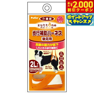 yő2000~OFFN[|IX|Cgő62{IX[p[SALEIzyeBI zuttone Vp s⏕n[lX 㑫pK 2L R L 