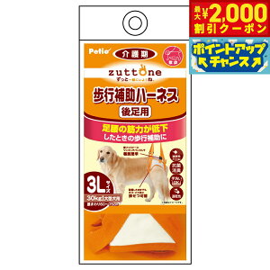 yő2000~OFFN[|IX|Cgő62{IX[p[SALEIzyeBI zuttone Vp s⏕n[lX 㑫pK 3Lyz R L 