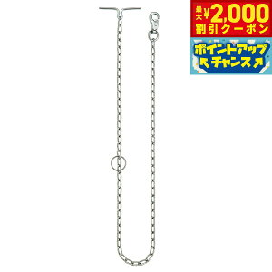 yő2000~OFFN[|IX|Cgő62{I{IzyeBI }e͌yz Wp ^