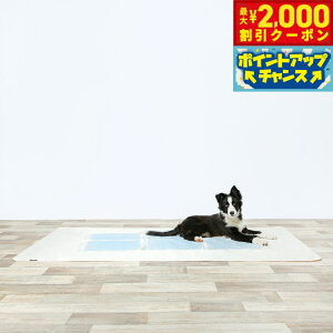 yő2000~OFFN[|IX|Cgő63{I{Iznbs[fCY HappyDays 􂦂LhV[g LL  L L R h Y gC   ېOK yz