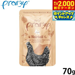 v~[ Pramy Lbgt[h EFbgt[h ci `L[[ wA{[ 70g Y OCt[ sgp pE` ʐH