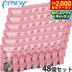 v~[ Pramy Lbgt[h EFbgt[h ci T[[[ XeACYh 70g×48Zbg Y OCt[ sgp pE` ʐH