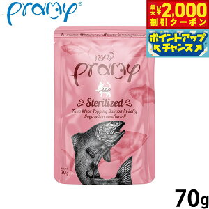 v~[ Pramy Lbgt[h EFbgt[h ci T[[[ XeACYh 70g Y OCt[ sgp pE` ʐH