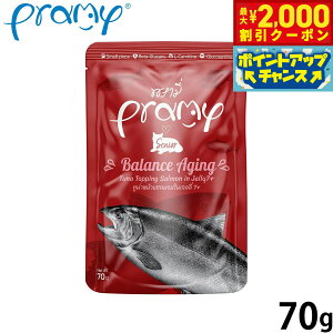 v~[ Pramy Lbgt[h EFbgt[h ci T[[[ oXGCWO VjA 70g Y OCt[ sgp pE` ʐH