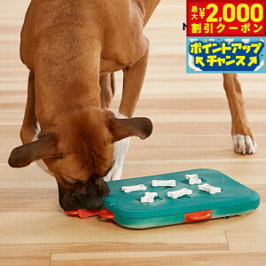 yő2000~OFFN[|IX|Cgő62{IX[p[SALEIzj[i Ibg\ mgC g[c Q[ JWm  L m[Y[NgC