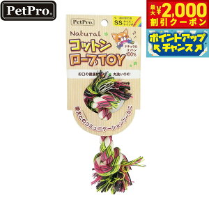 yő2000~OFFN[|IX|Cgő62{IX[p[SALEIzybgv p i`Rbg[vTOY C{[ SS C{[