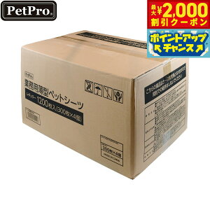 yő2000~OFFN[|IX|Cgő62{I{Izybgv Ɩp^ybgV[c M[ 1200yz pgCV[c